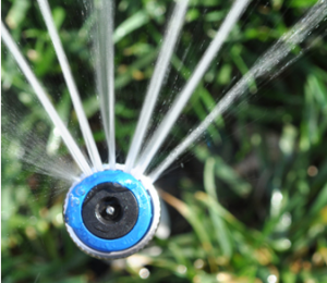 a recently installed Hunter rotary sprinkler